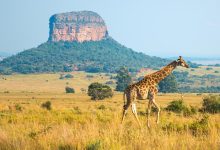 Photo of Самые красивые аэропорты мира