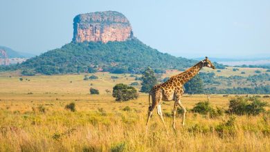 Photo of Самые красивые аэропорты мира